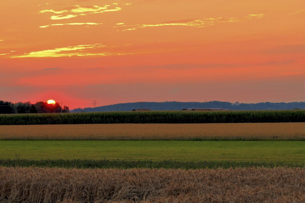 Platz 10 Uwe Kiesling